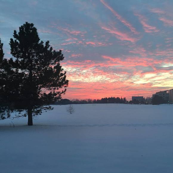 Meet your Posher, Cathy - Picture 1 of 1